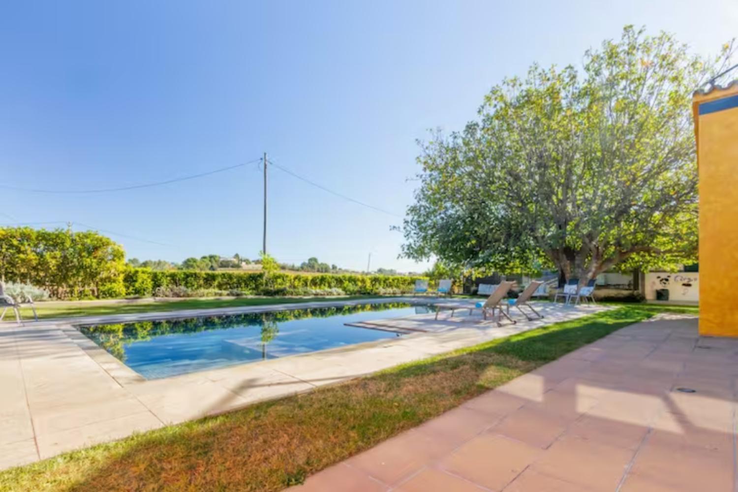 Masia Cal Sisplau, Con Piscina Y Rodeada De Vinedos A 10 Minutos De Vilafranca Del Penedes, Barcelona ,Cataluna San Martín Sarroca エクステリア 写真